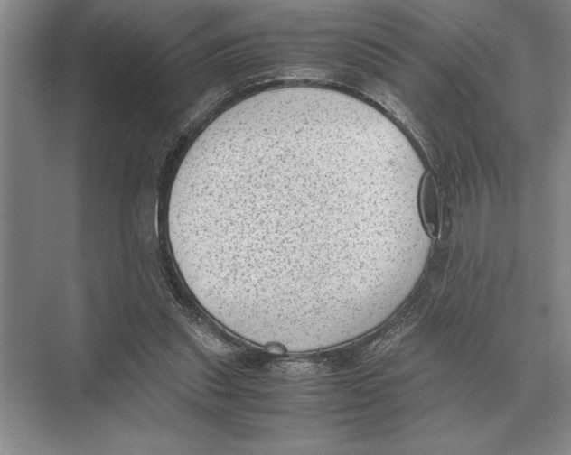 X0000072530253200608111753