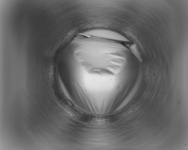 X0000072530260200608111754