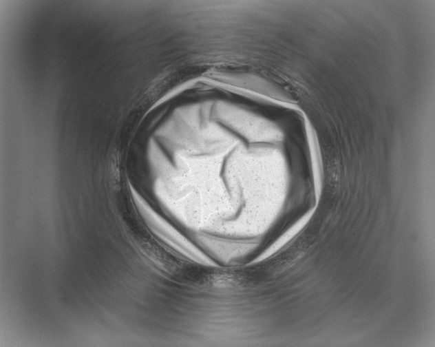 X0000072530264200608111754