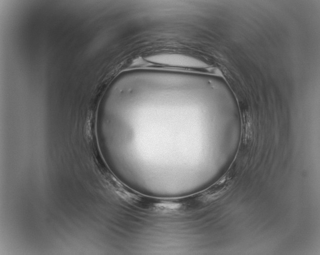 X0000072530266200608111754