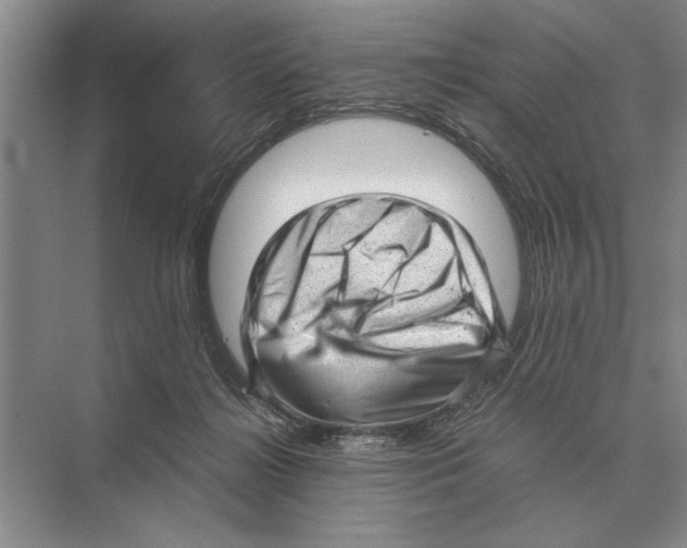 X0000072530268200608111754