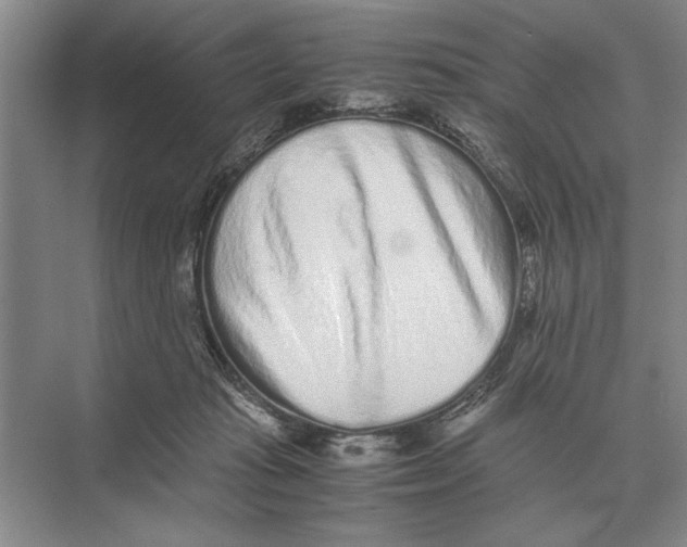 X0000072530269200608111754