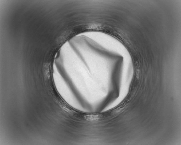 X0000072530273200608111754