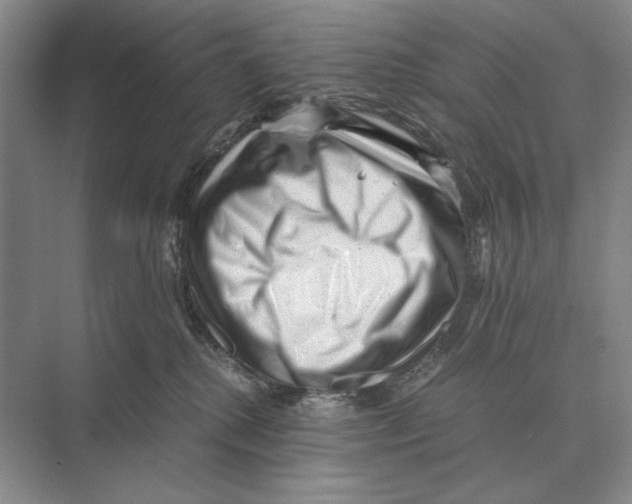 X0000072530280200608111754