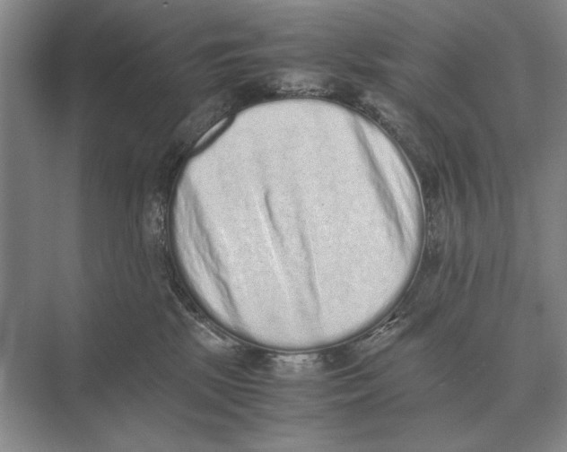 X0000072530281200608111754