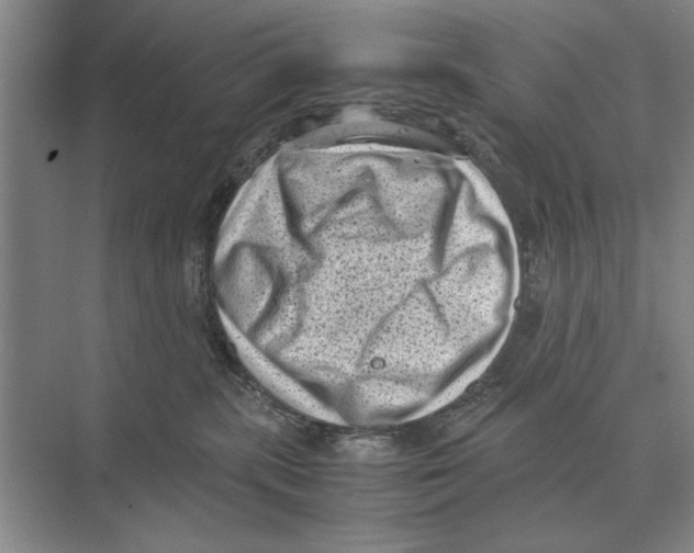 X0000072530283200608111754