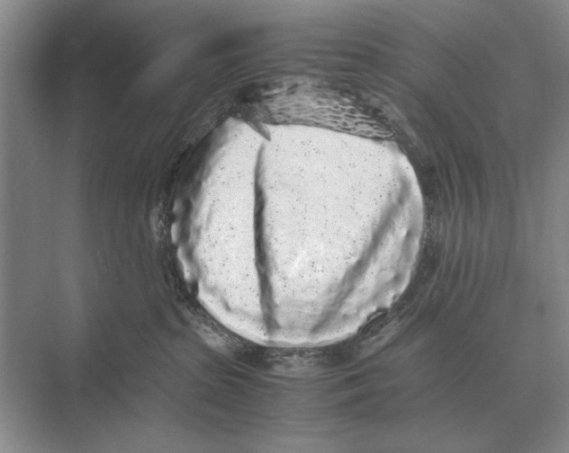 X0000072530285200608111754