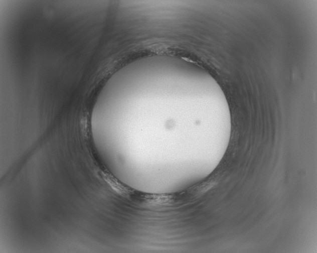 X0000072530288200608111754