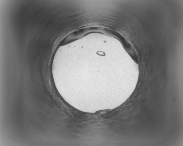 X0000072530289200608111753