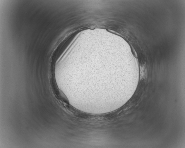 X0000072530291200608111753