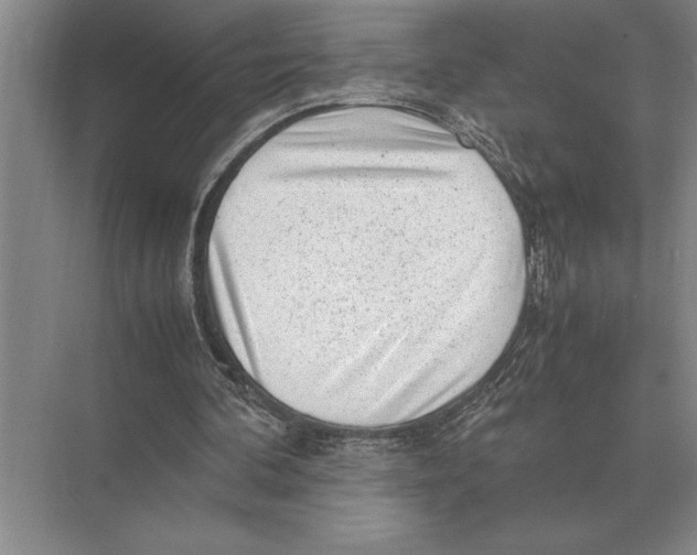 X0000072530292200608111753