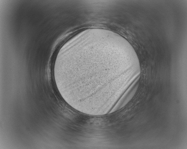 X0000072530294200608111753