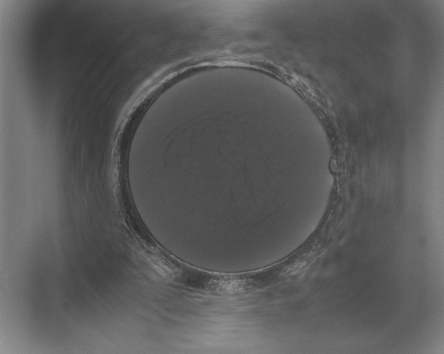 X0000072530295200608111753