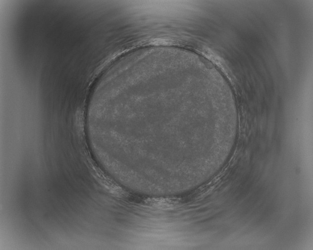 X0000072530297200608111753