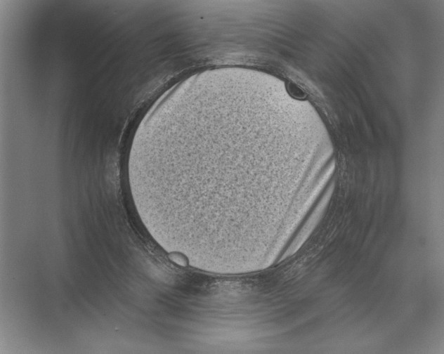 X0000072530298200608111753