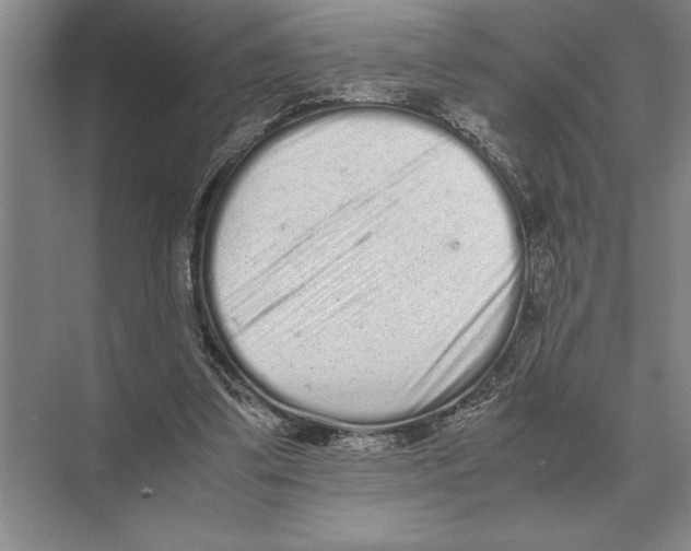 X0000072530299200608111753