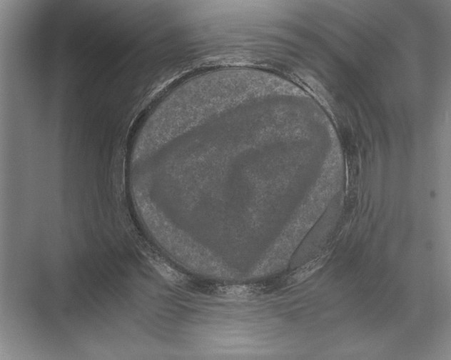 X0000072530301200608111753