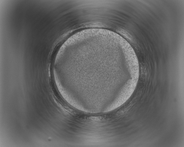 X0000072530302200608111753