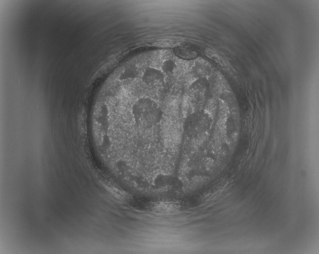 X0000072530303200608111753