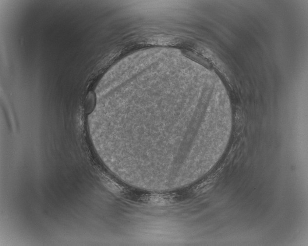 X0000072530305200608111753