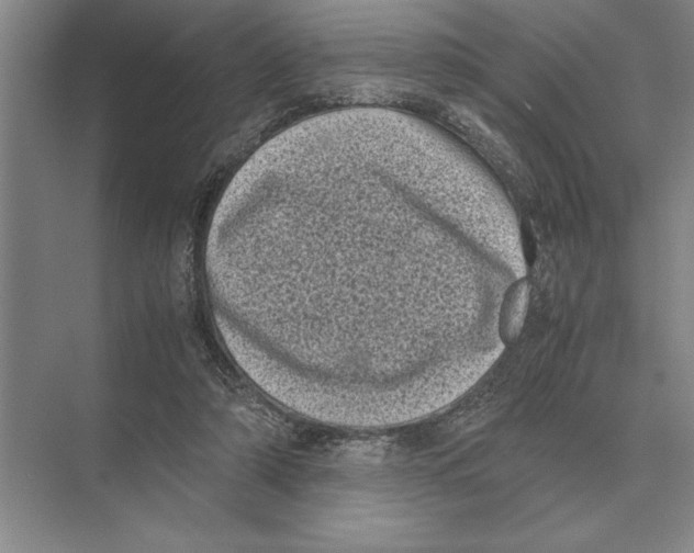 X0000072530306200608111753