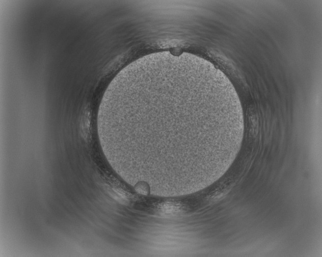 X0000072530308200608111753