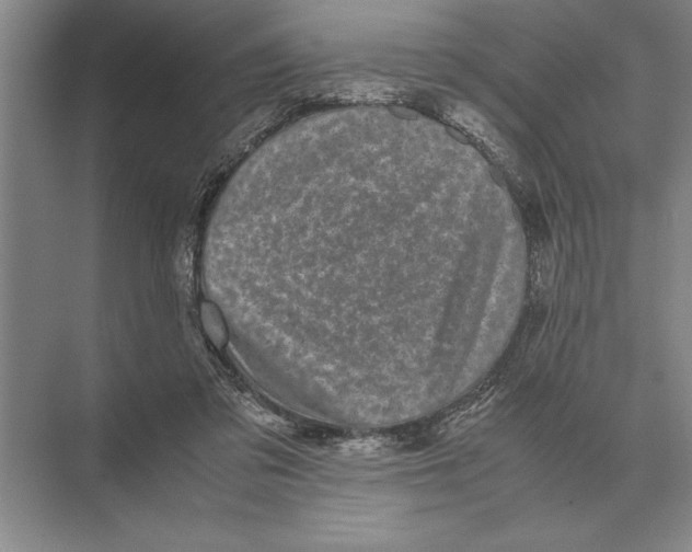 X0000072530309200608111753