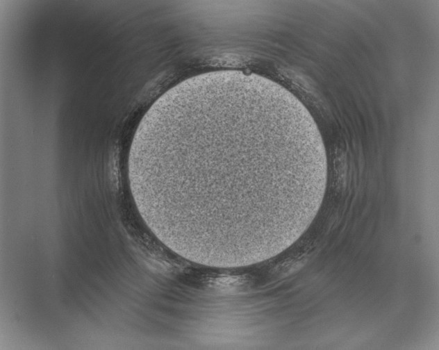 X0000072530312200608111753