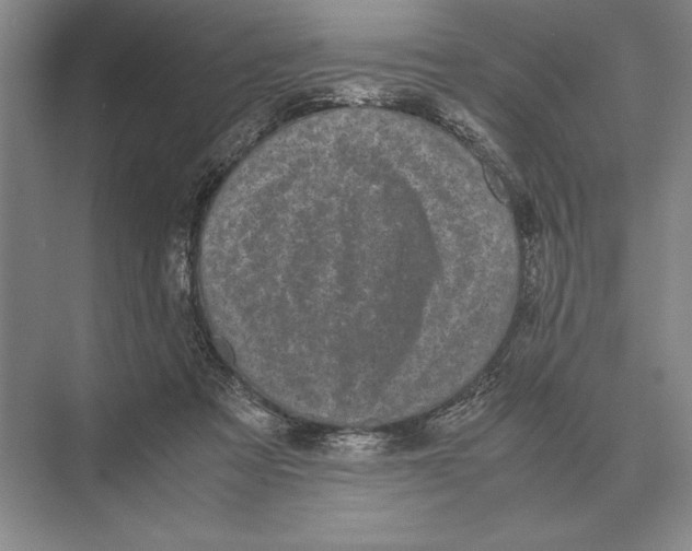 X0000072530313200608111753