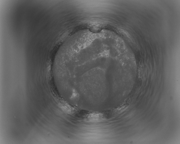 X0000072530314200608111753