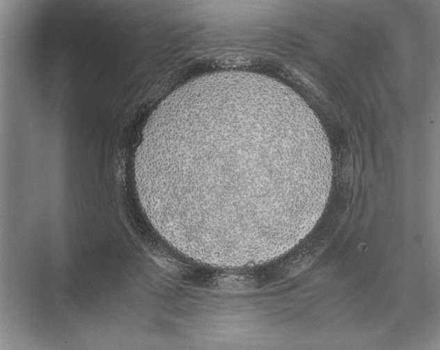 X0000072530315200608111753