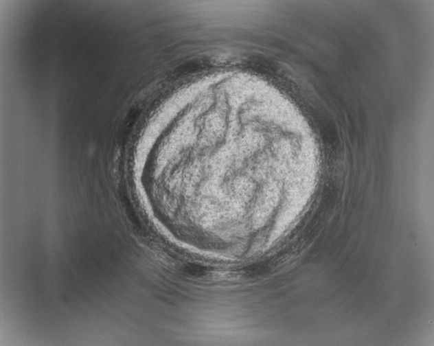 X0000072530319200608111753