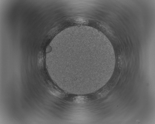 X0000072530320200608111753