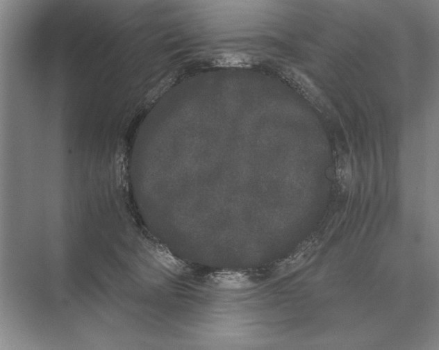 X0000072530322200608111753