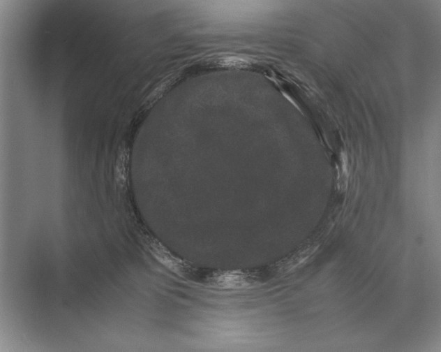 X0000072530325200608111753