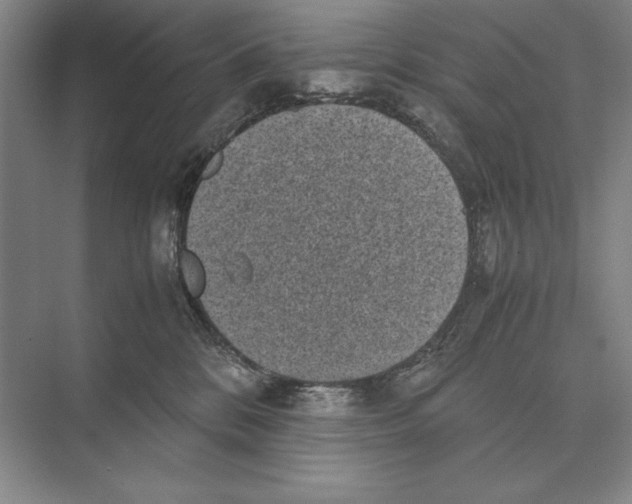 X0000072530328200608111753