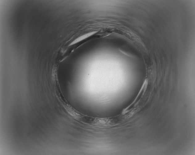 X0000072530329200608111753