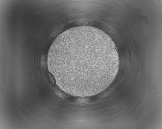 X0000072530335200608111752