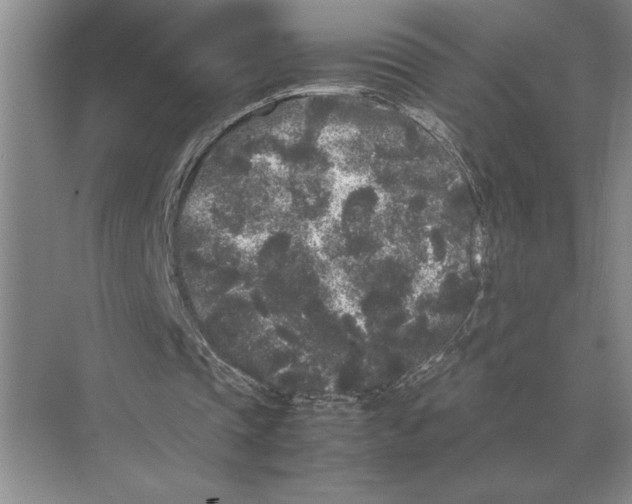 X0000072530337200608111752