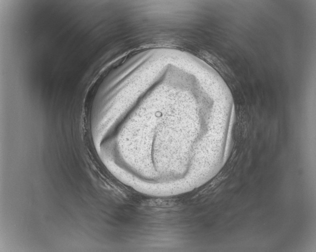 X0000072530338200608111752