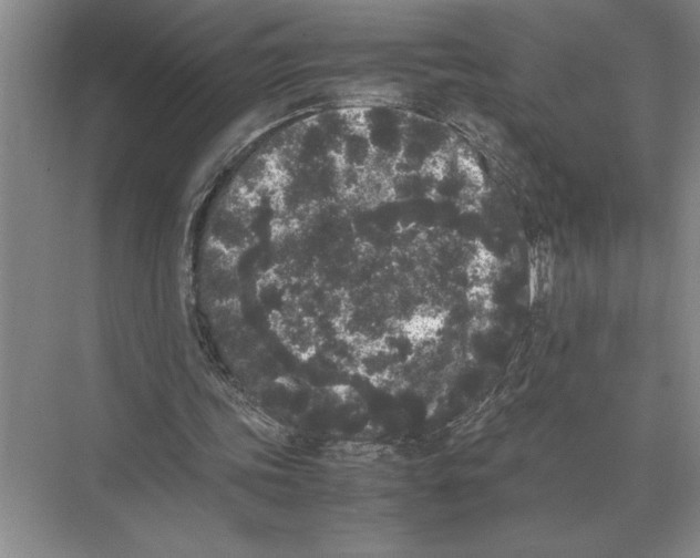 X0000072530339200608111752