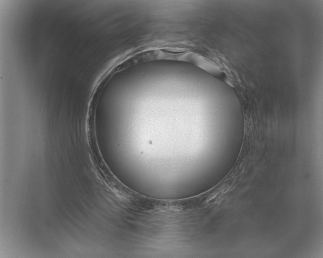 X0000072530340200608111752