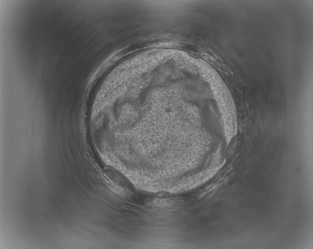 X0000072530341200608111752