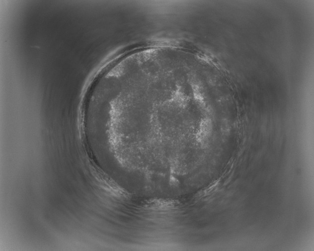 X0000072530343200608111752