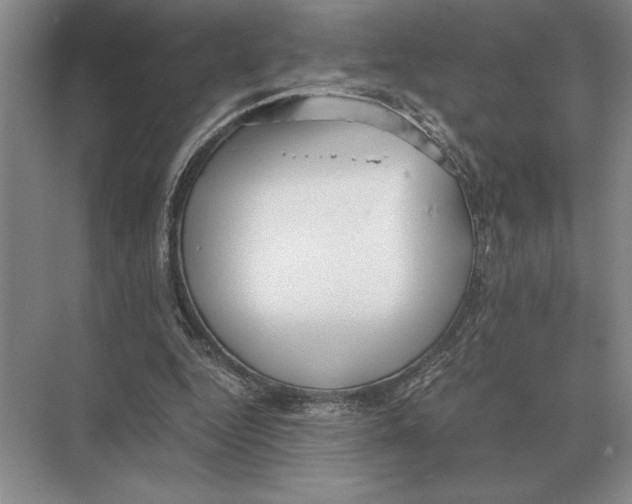 X0000072530344200608111752