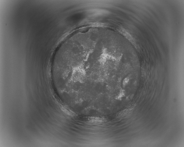 X0000072530347200608111752