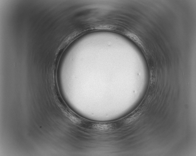 X0000072530349200608111752