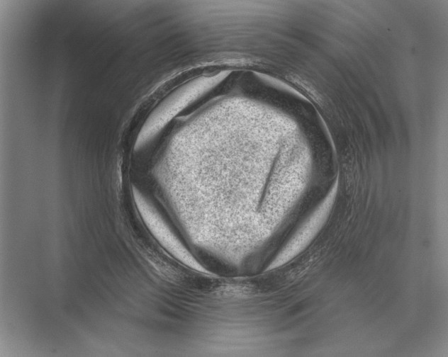 X0000072530350200608111752