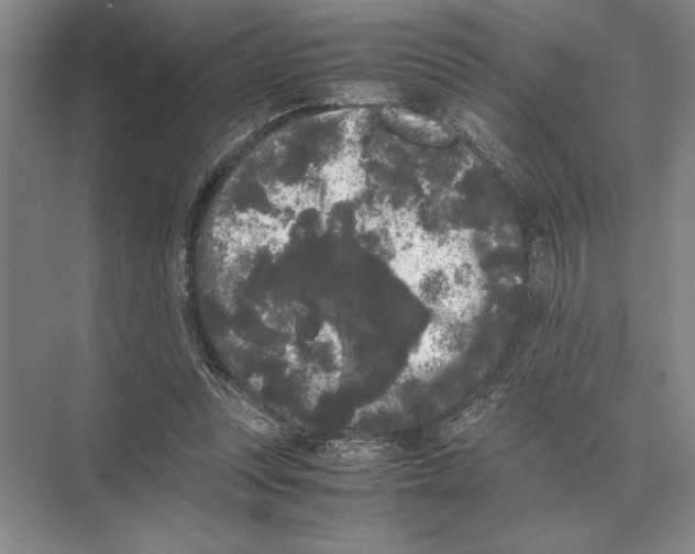 X0000072530351200608111752