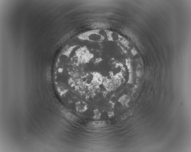 X0000072530353200608111752